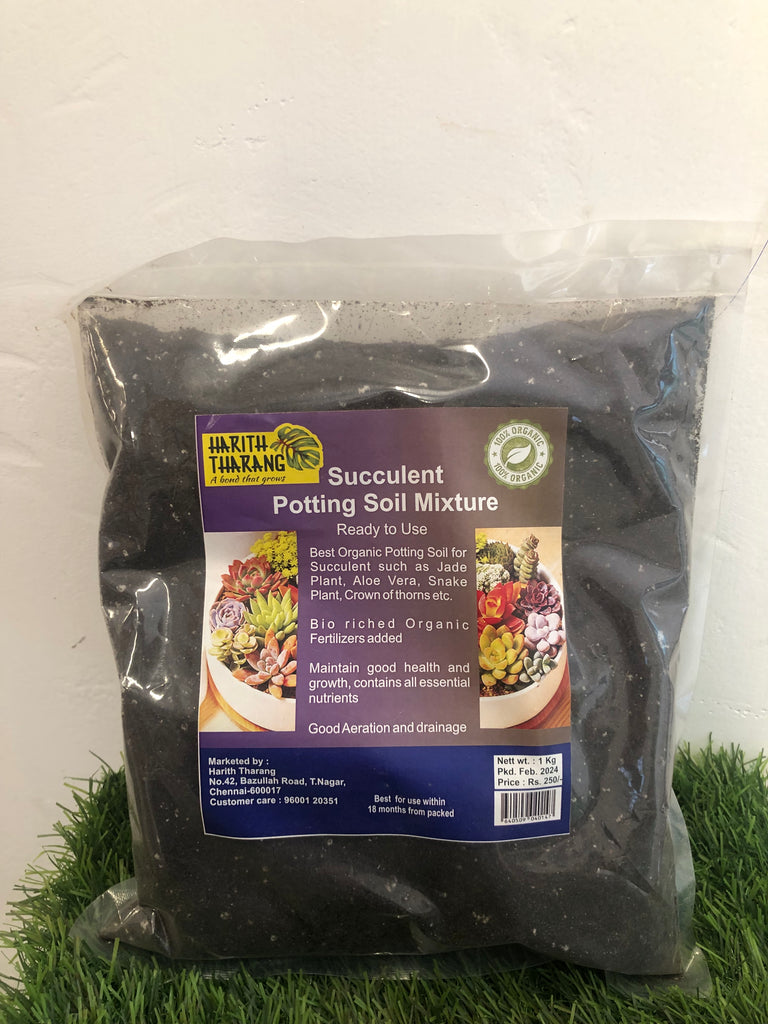 Succulent potting soil mixture