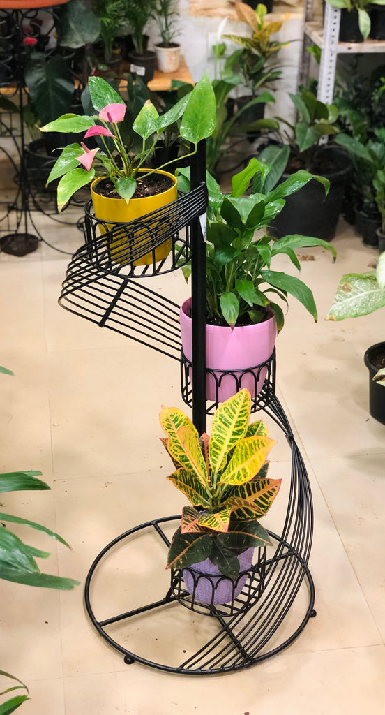 Plant stand