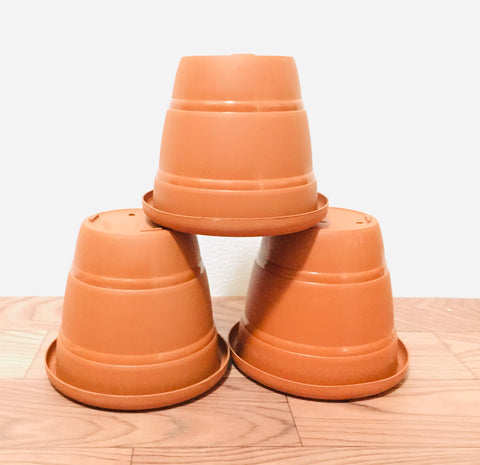 terracotta “6”round plastic pot