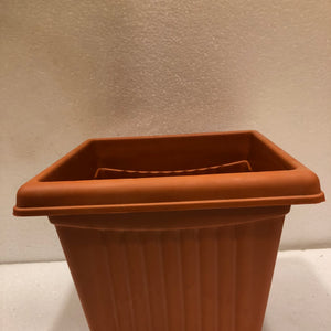 Square “10” Plastic Pot