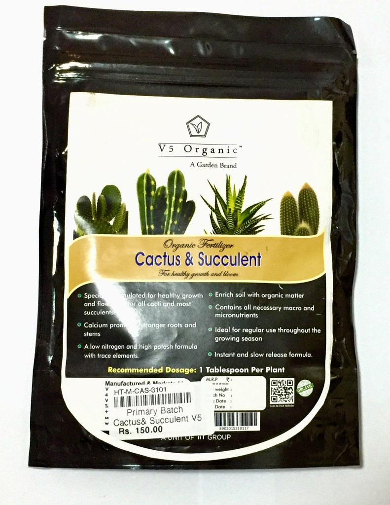 Cactus and Succulents V5