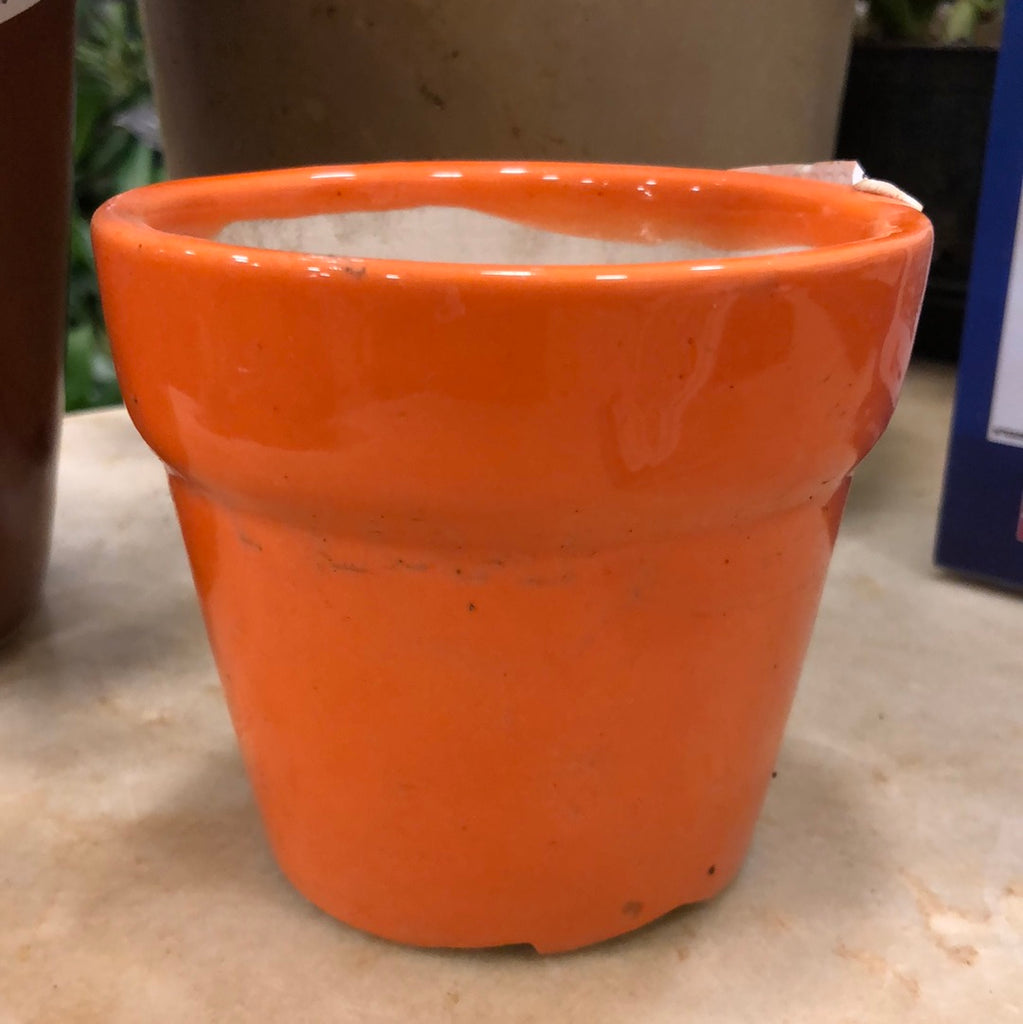 Orange pot ceramic