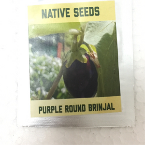 Purple round brinjal