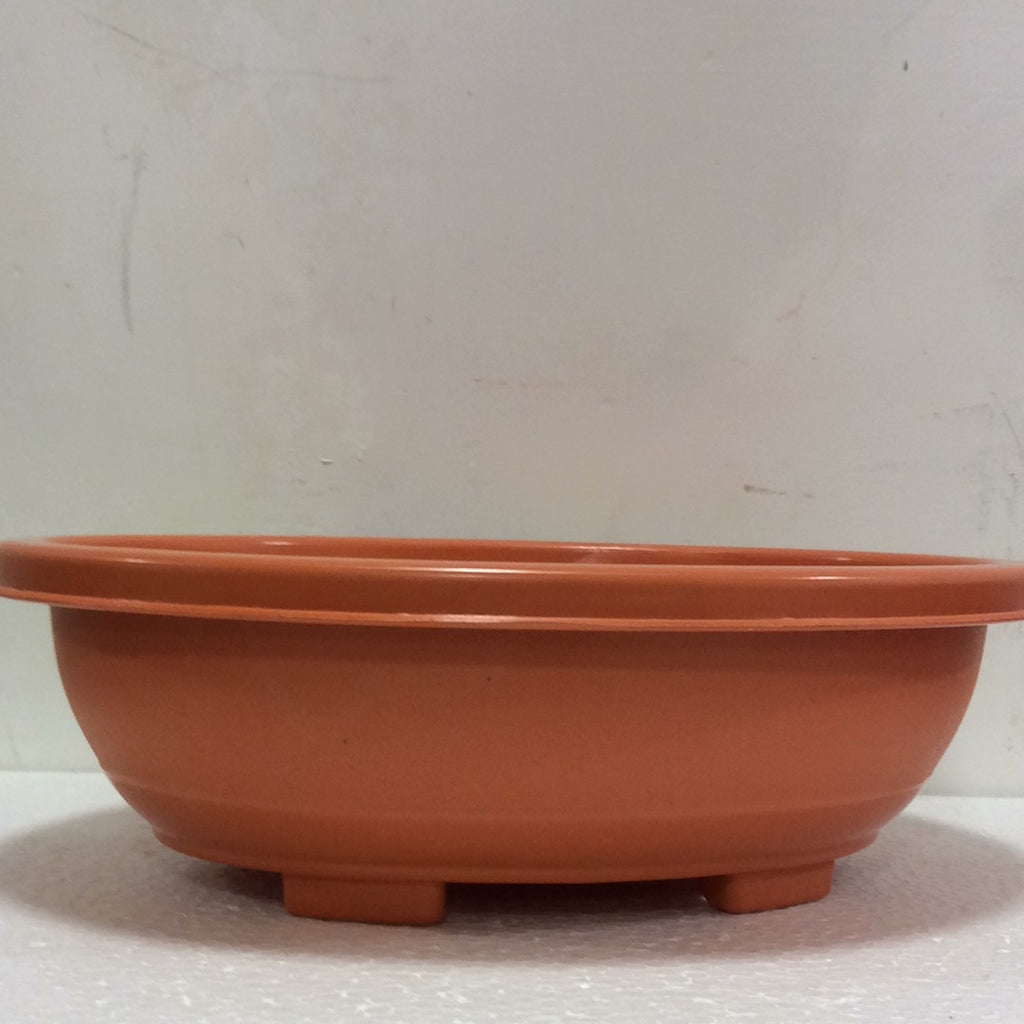 Tray 12” bonsai TC