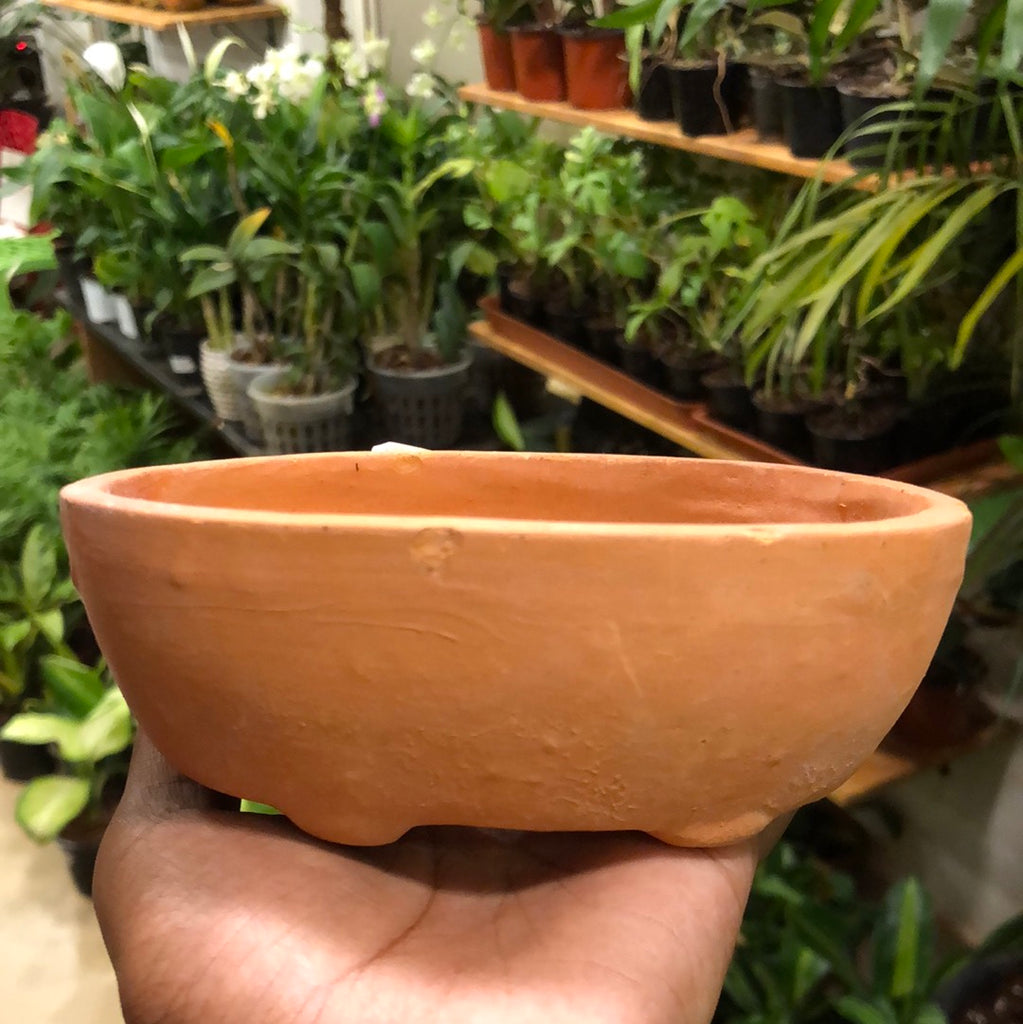 Mudpot