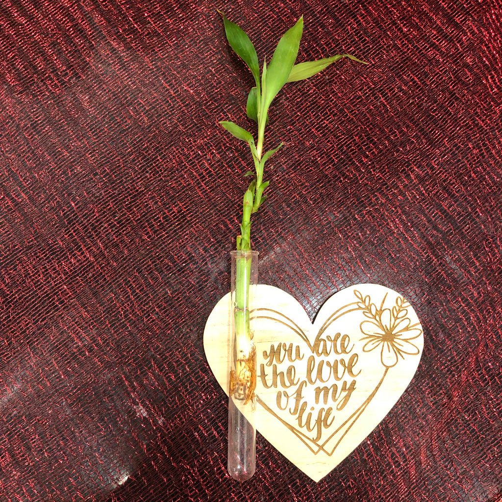 Valentine’s Day Heart vd 400