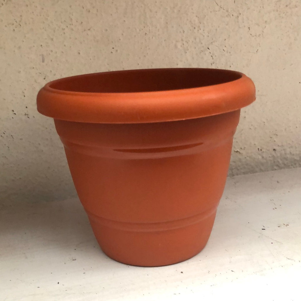 6 Inch terracotta pot (Round)