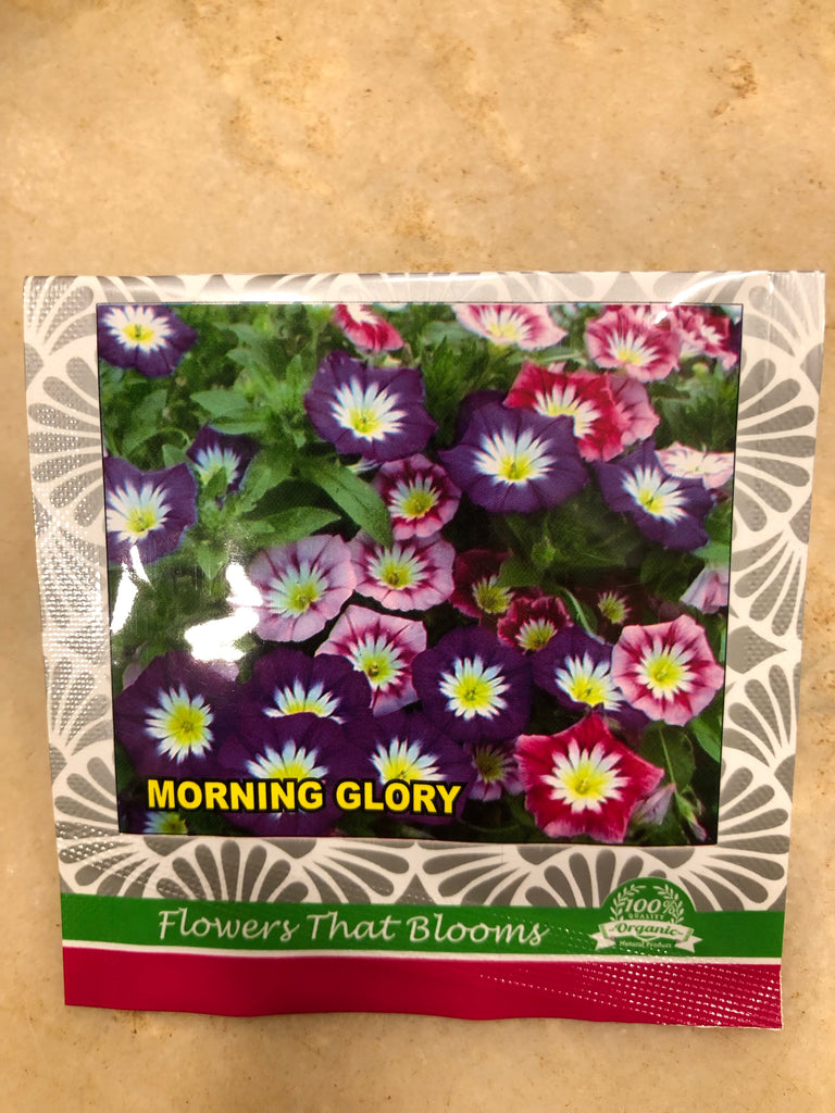 Morning glory seeds
