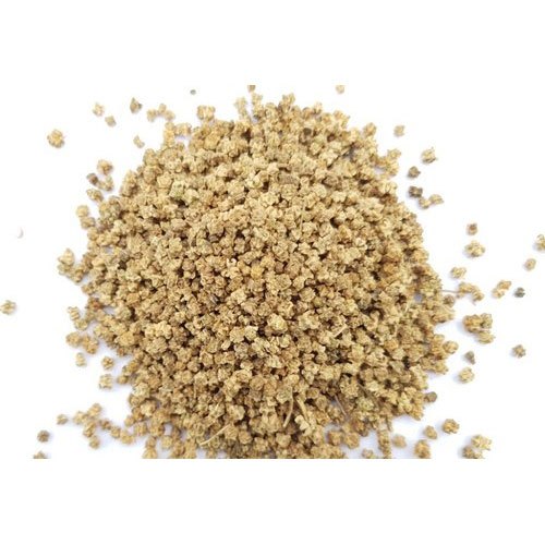 Palak seeds