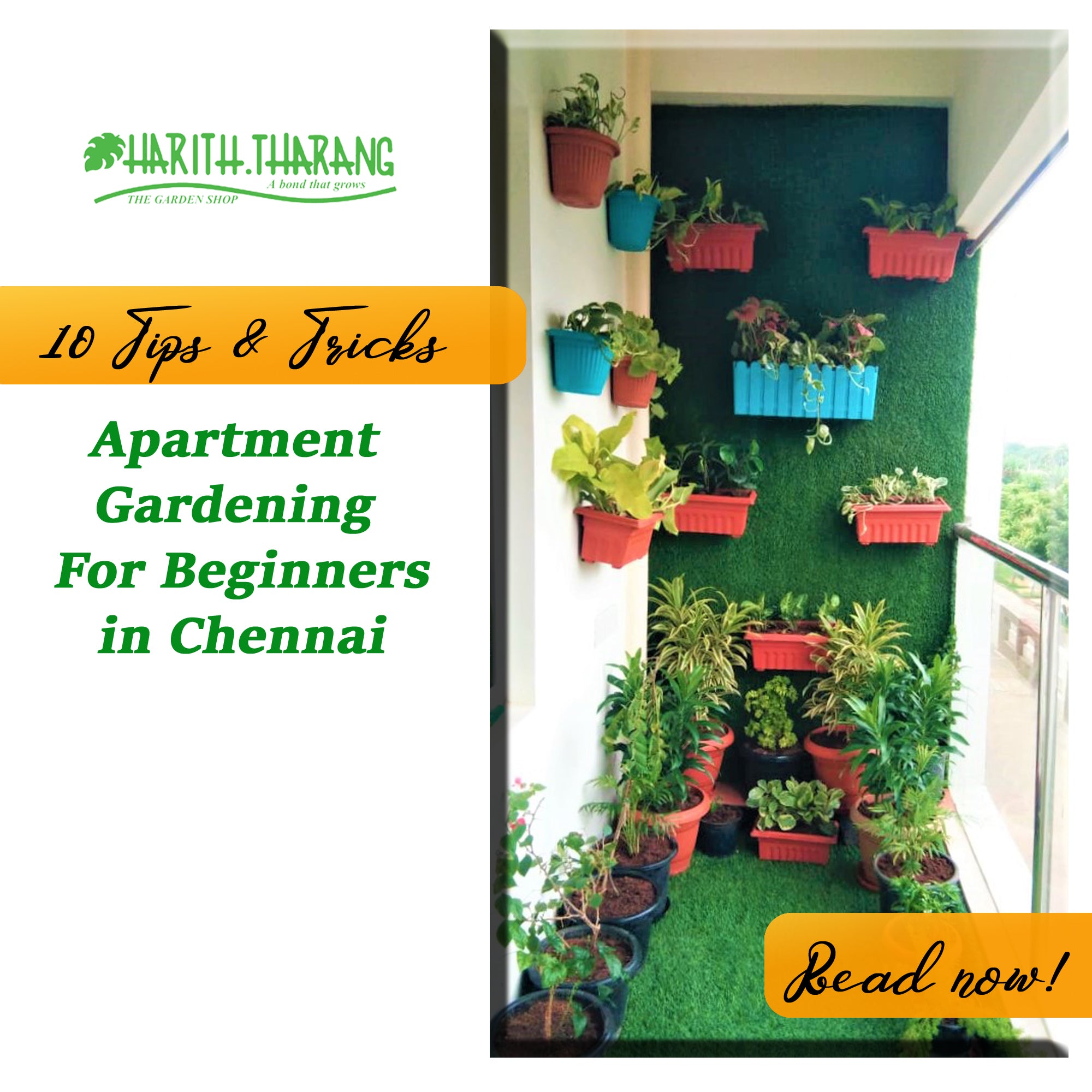 Apartment Gardening for Beginners – hariththarang