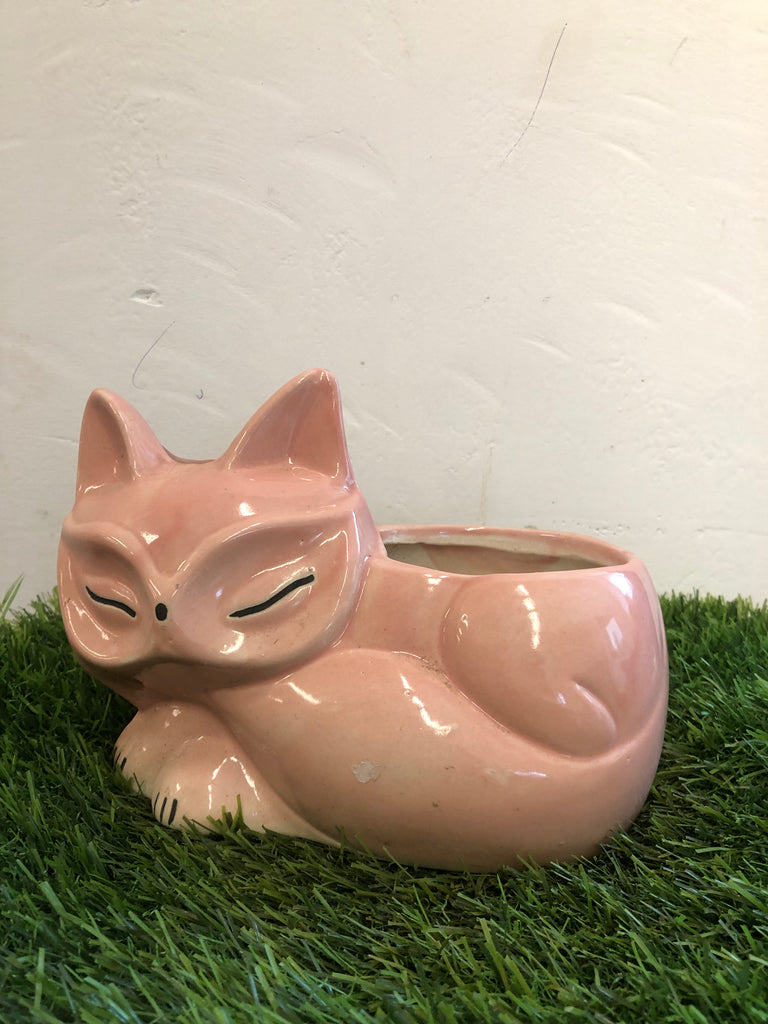 Cat ceramic pot