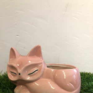 Cat ceramic pot