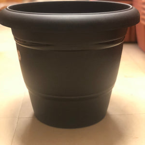 Black pot “16”