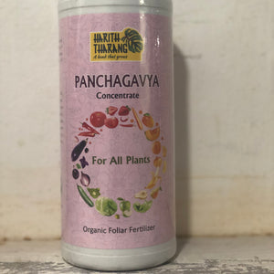 Panchagavya concentrate