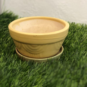 Flower Ceramic pot