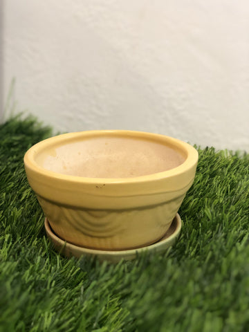 Flower Ceramic pot