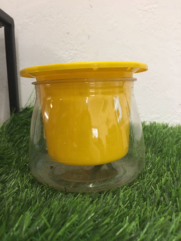 self watering plastic pot