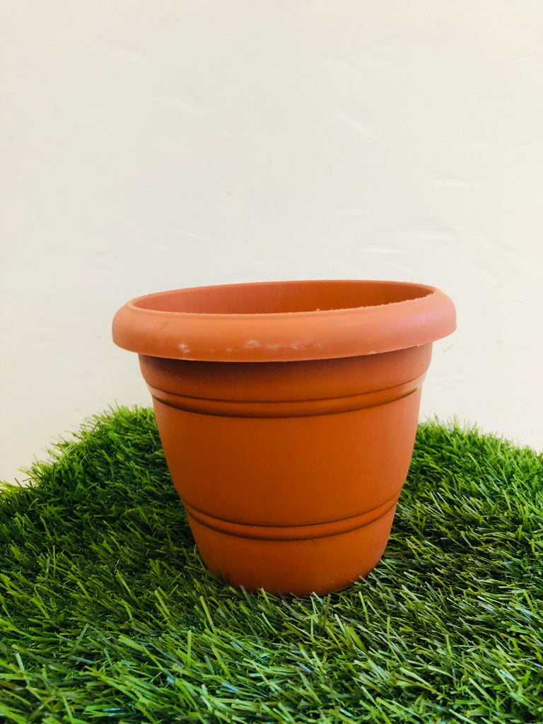 terracotta pot (Round) “6”