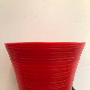 Leno “12”Plastic pot