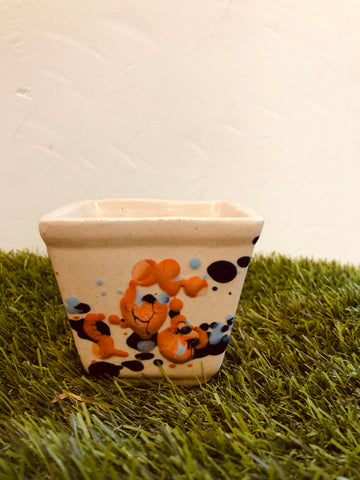 Paint sprayed Ceramic pot
