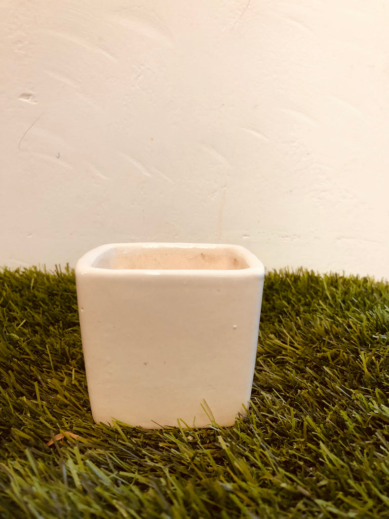 Square Ceramic pot