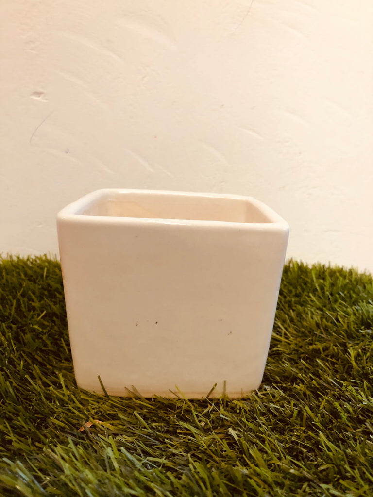 Square Ceramic pot