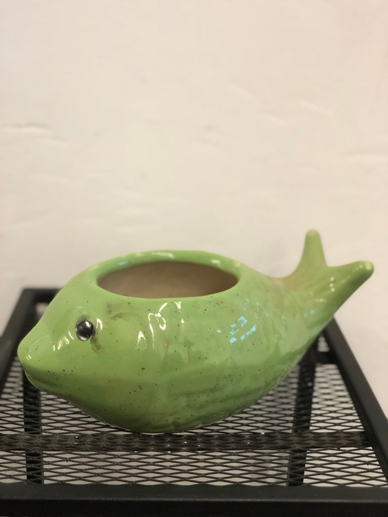 Fish Ceramic pot
