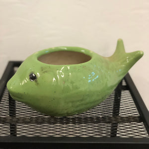 Fish Ceramic pot