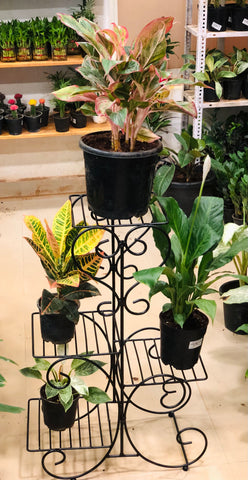 Plant Stand
