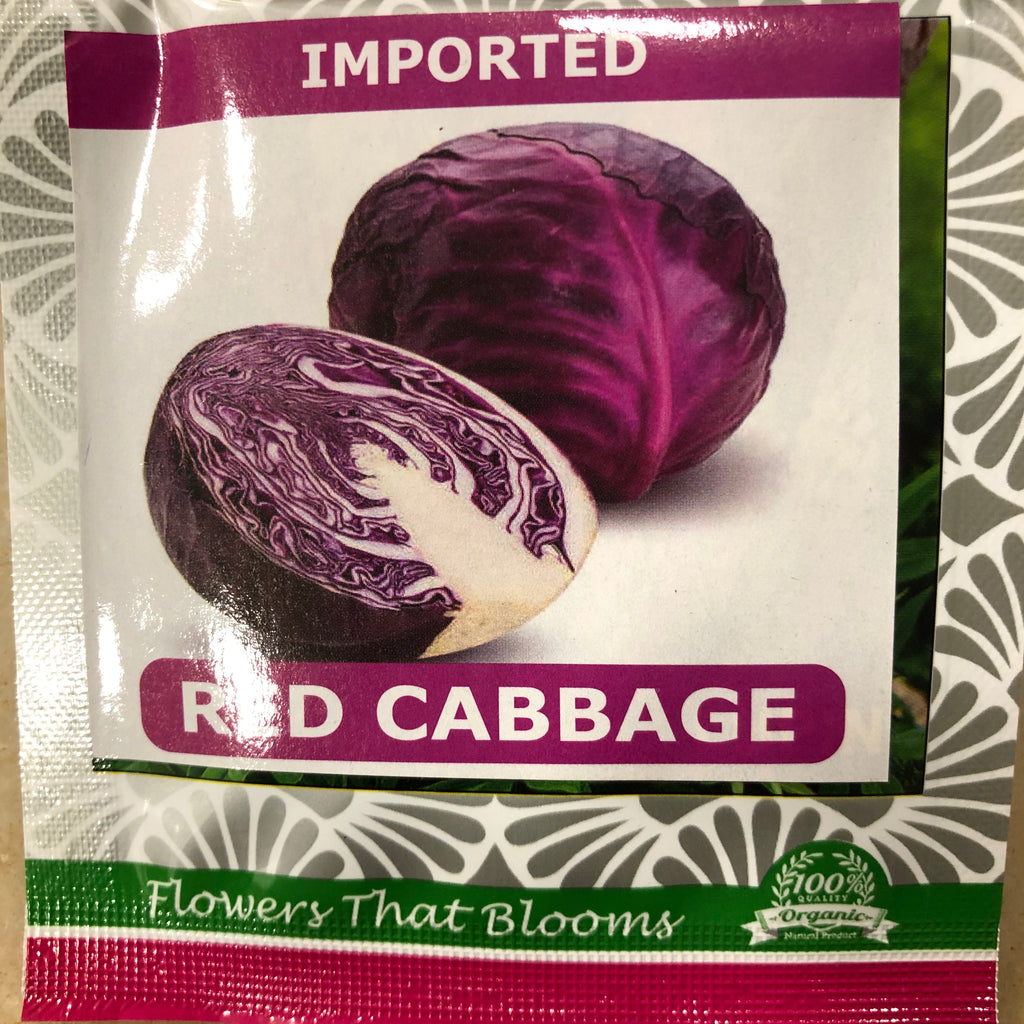 red cabbage seeds