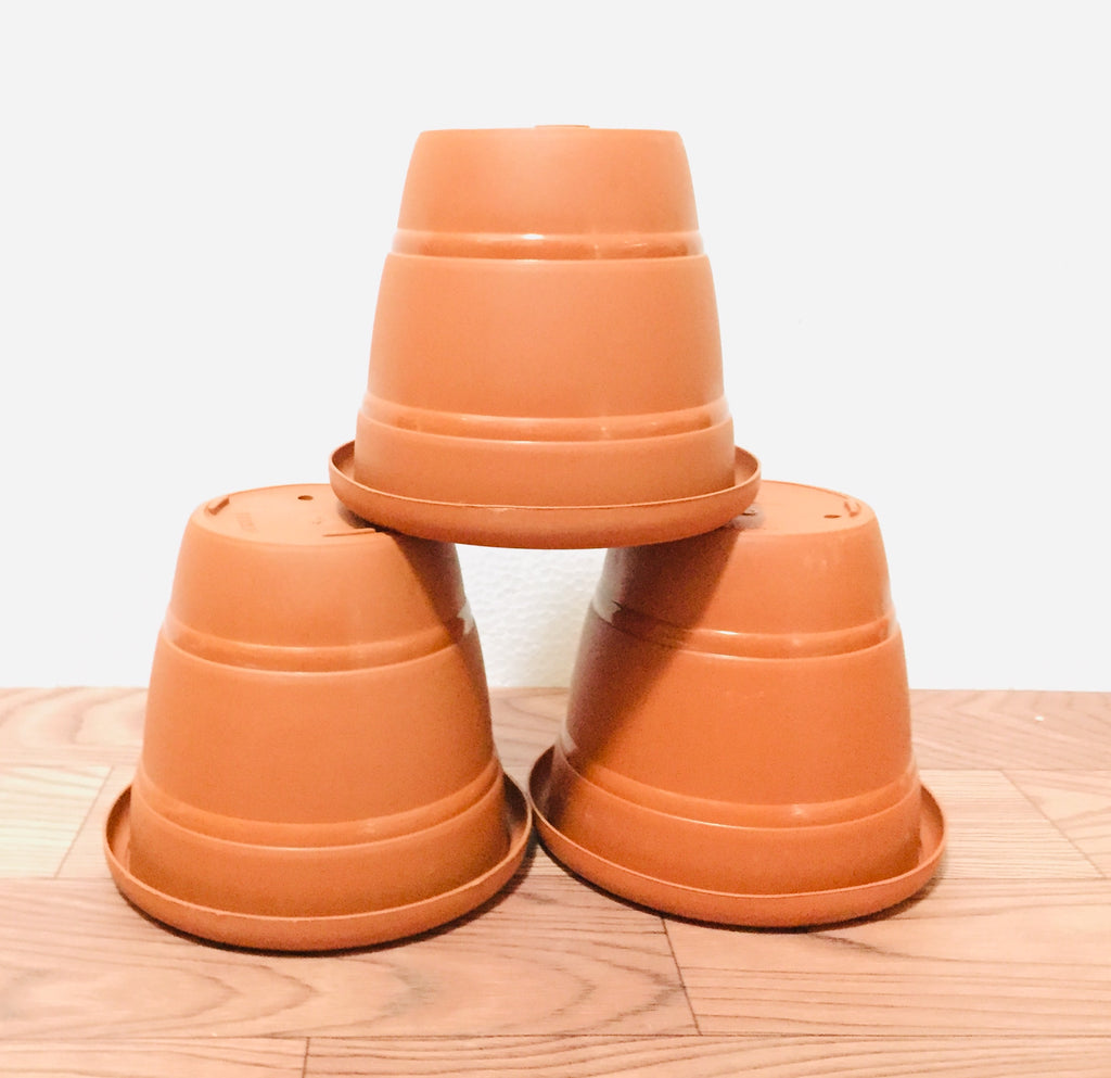 terracotta 6" pot round