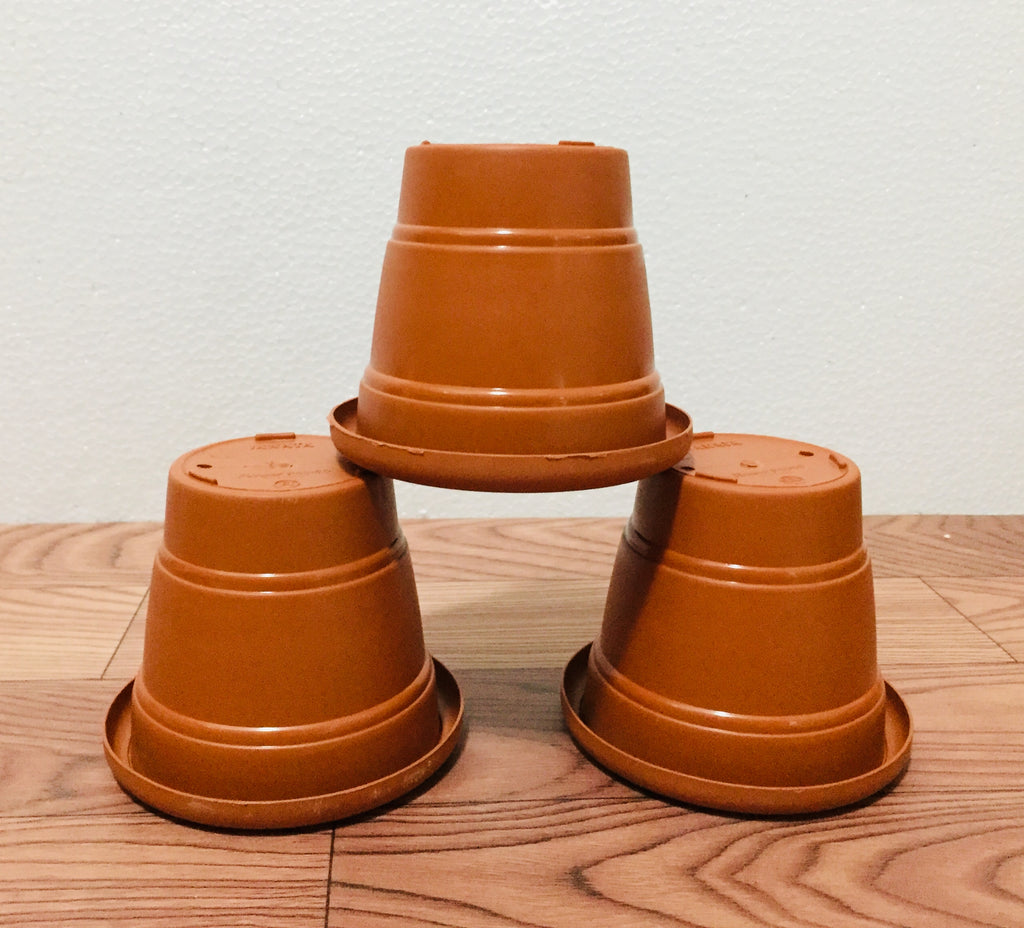 terracotta 4" pots