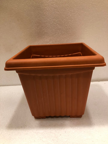 Square “10” Plastic Pot