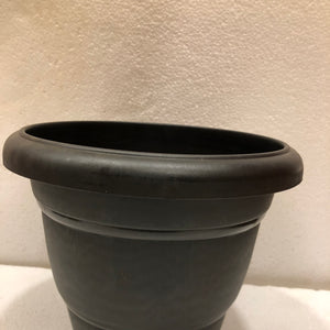 10 Inch Black pot (Round)