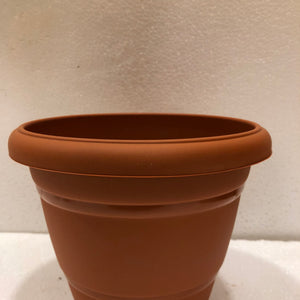 Tc plastic pot “8”