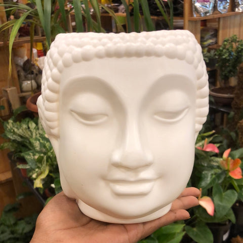 Buddha head plastic pot 6’’