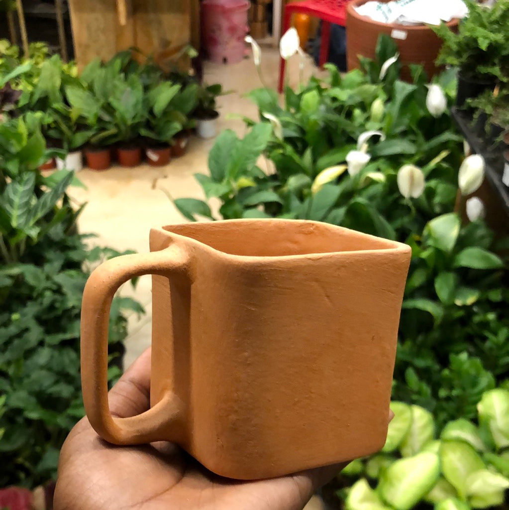 Mudpot (cup)