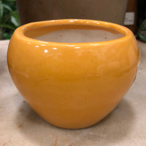 Apple plain pot