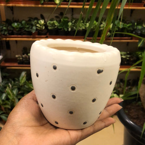 Ceramic pot