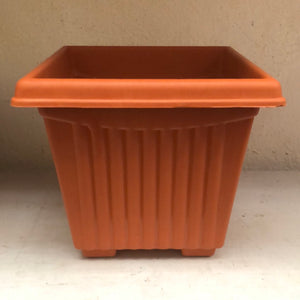 Sq Tc plastic pots”12”