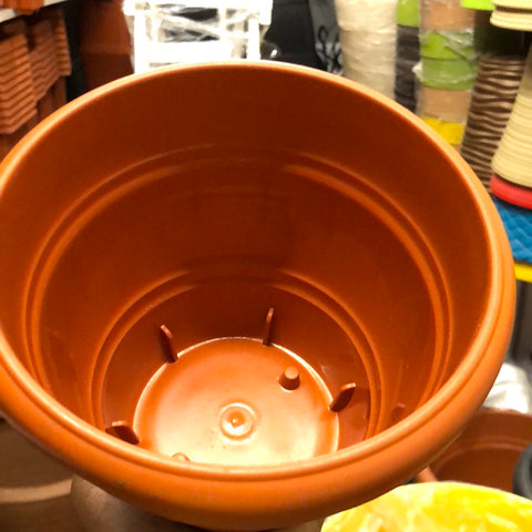 sheera 6 inches terracotta plastic  pot
