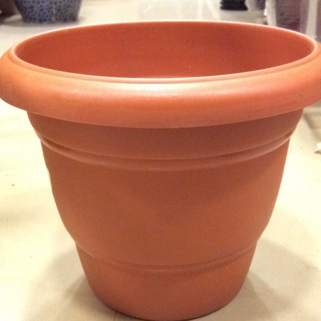 10 Inch plastic pot (Round)
