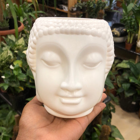 Buddha head plastic pot 6’’