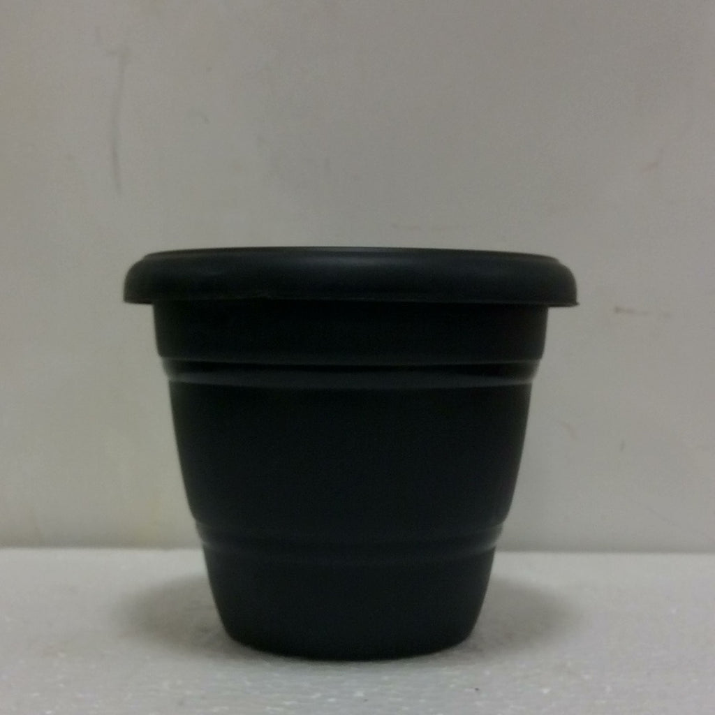 6” black pot