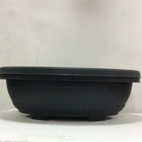 Bonsai pot big