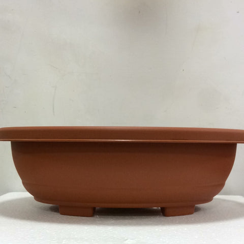 Bonsai pot big
