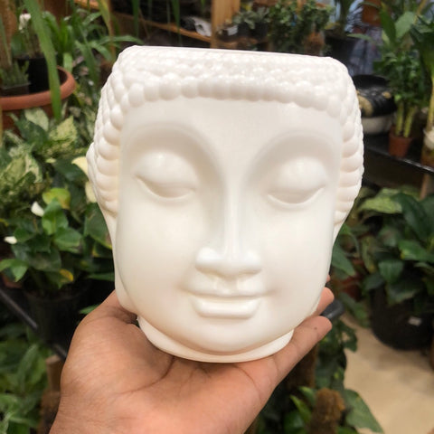 Buddha head plastic pot 6’’