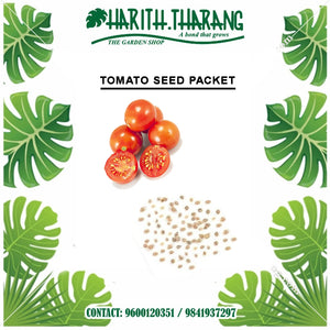 Tomato seeds